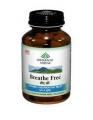 B-Free kapsule Organic India 60kps