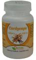 Cordyceps tablety Natural Pharm 100ks