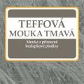 Mka teffov BIO BAUCK HOF 400g