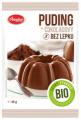 Puding okoldov bez lepku Amylon BIO 40g