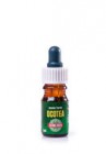 Ocotea 100% 5ml